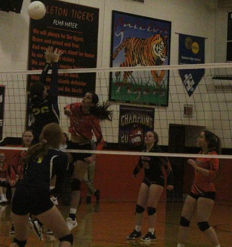 Tigers volley