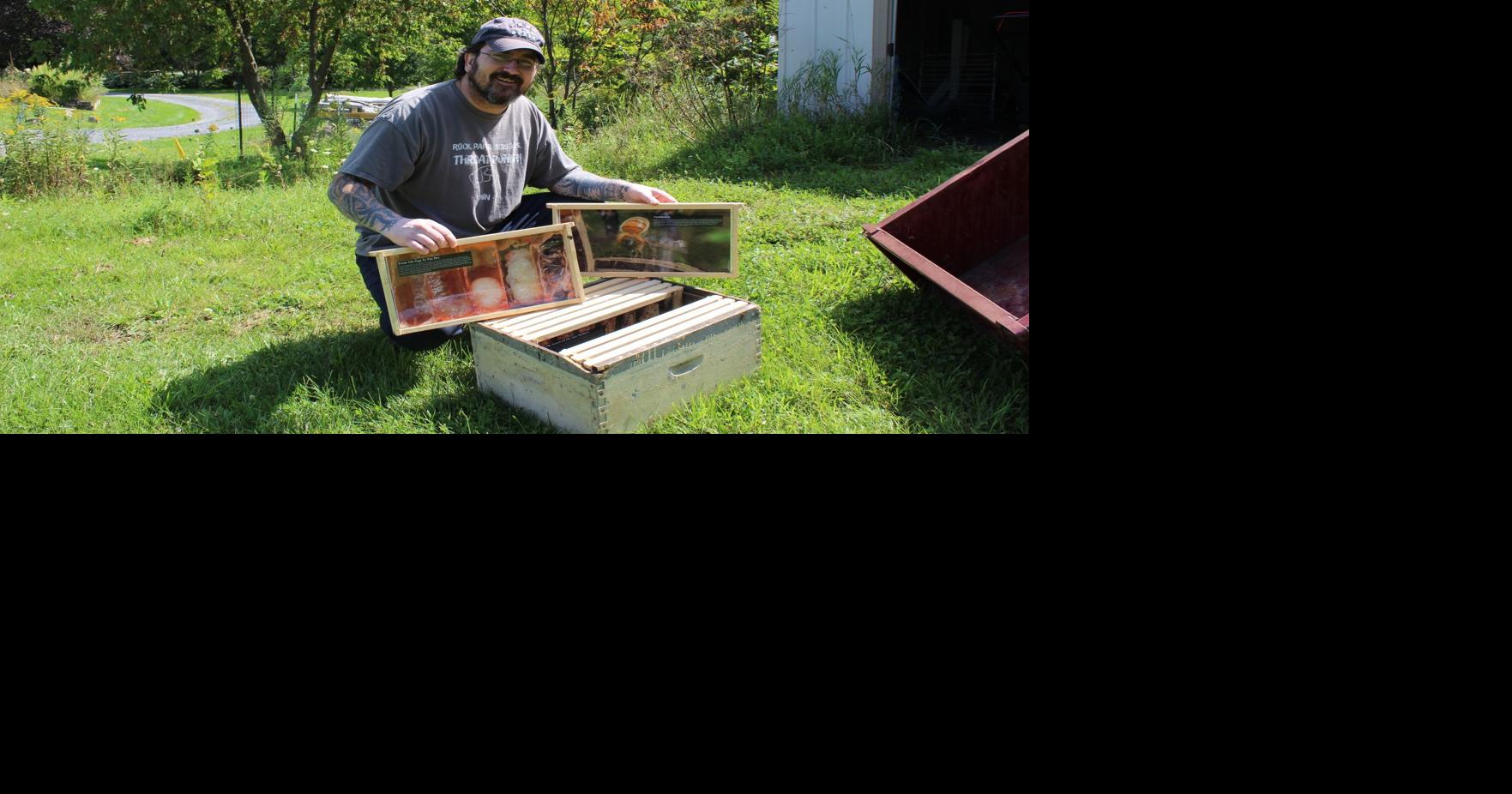 Local beekeepers prepare for harvest | Local | tiogapublishing.com