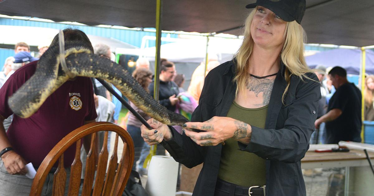 Ferguson Rattler Roundup fosters respect for rattlers | Local | tiogapublishing.com