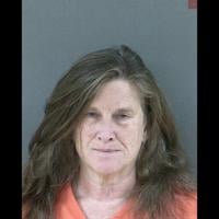 Canadian sent to state prison for shooting at troopers