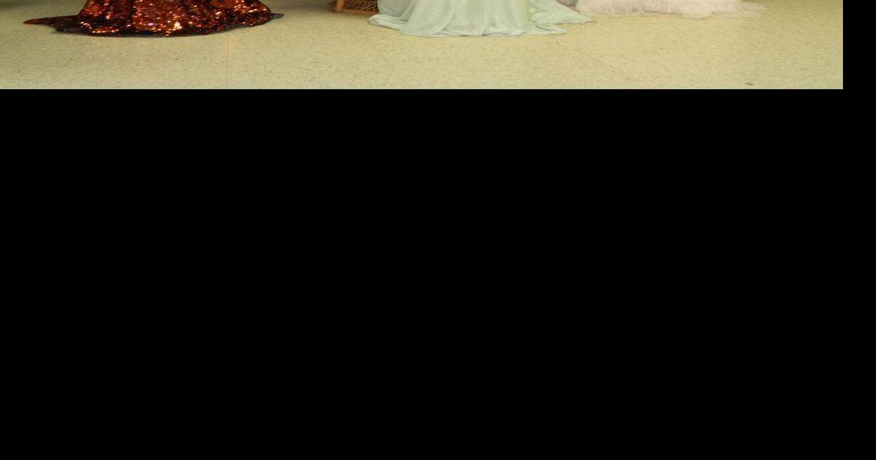 Millerton teen crowned 2014 Fair Queen | Living | tiogapublishing.com