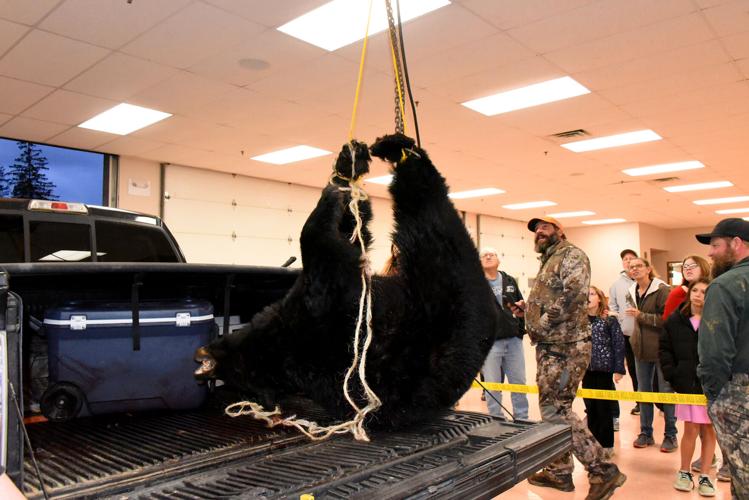 Bear season off to good start, despite slow firearm opener | Local ...