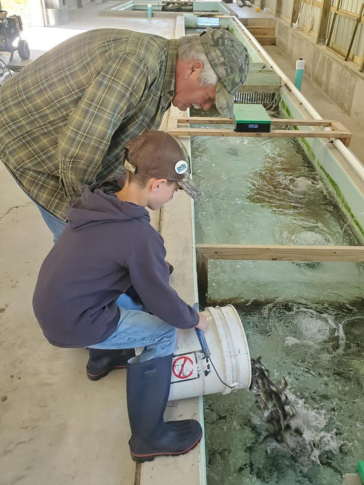 CV Anglers prepare nursery for trout fingerlings