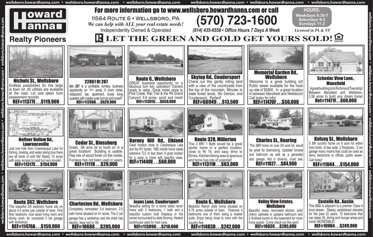Howardhannass 6 2 Pdf Dollar Saver Zone 2 Tiogapublishing Com