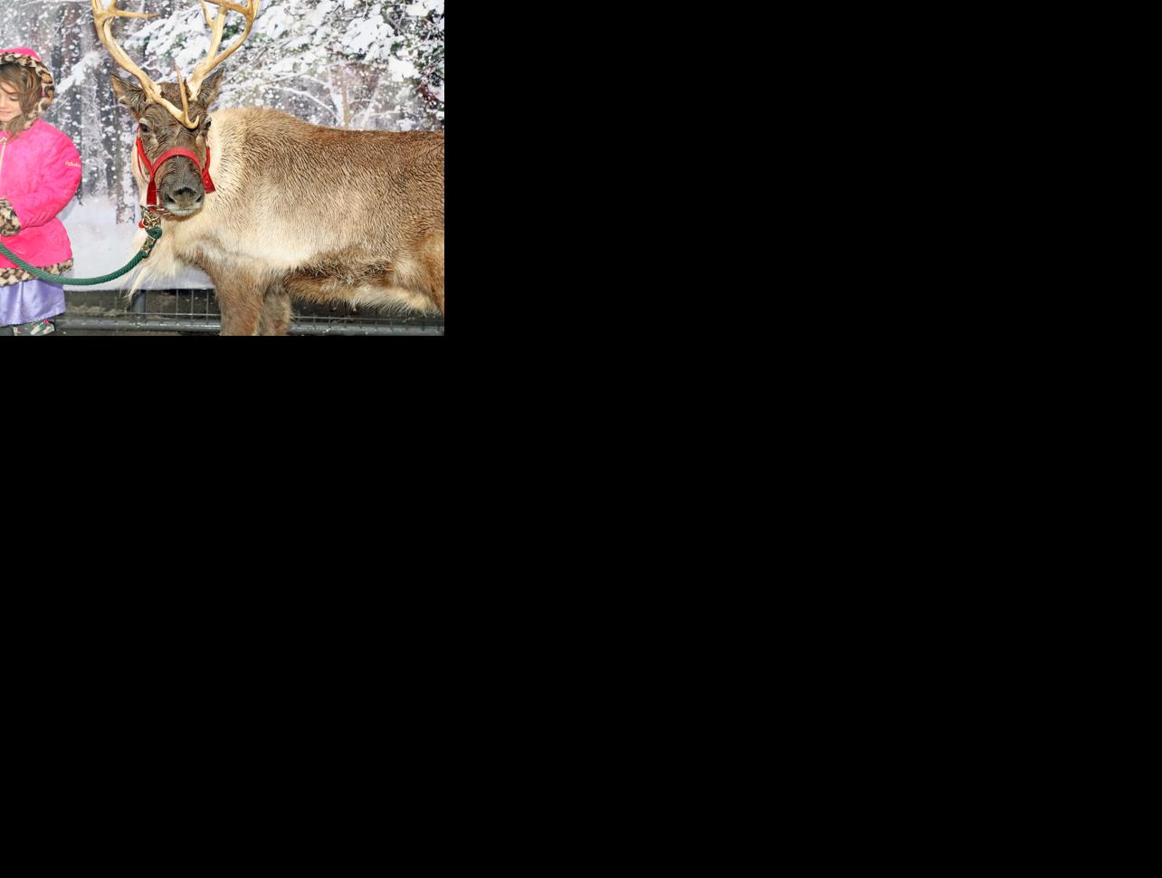 Christmas on Main Street Celebrates Wellsboro's Past Community