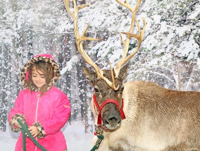 Christmas on Main Street Celebrates Wellsboro's Past Community