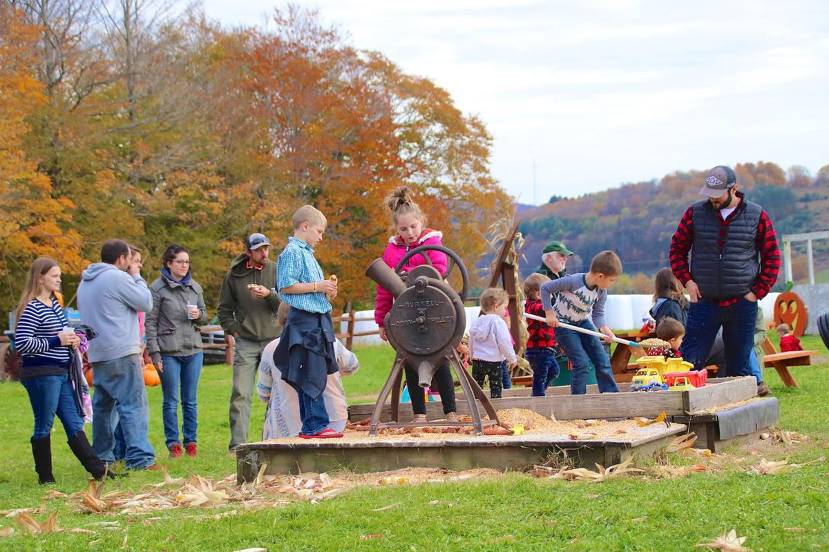 Hamilton's Pumpkin Patch