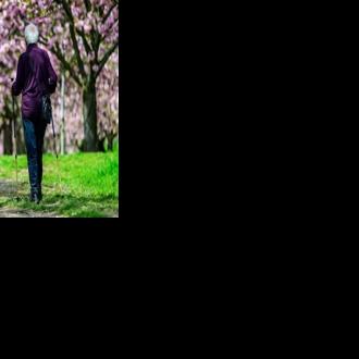 Experts say it is crucial for more older people to stay in work longer in Germany to ease the strain on the pension system