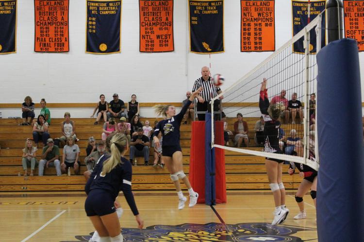 Cowanesque Valley volleyball takes loss to North PennLiberty Potter