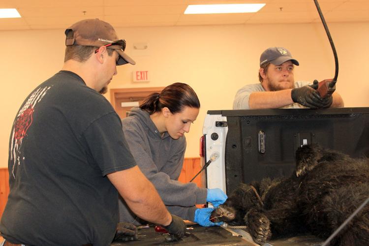 Tick check, career exploration takes place at bear check station ...