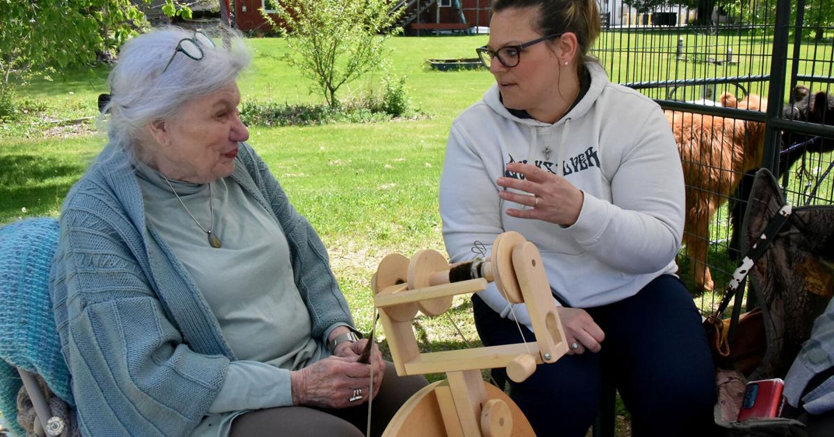Visitors explore creative learning at Curiosity Day