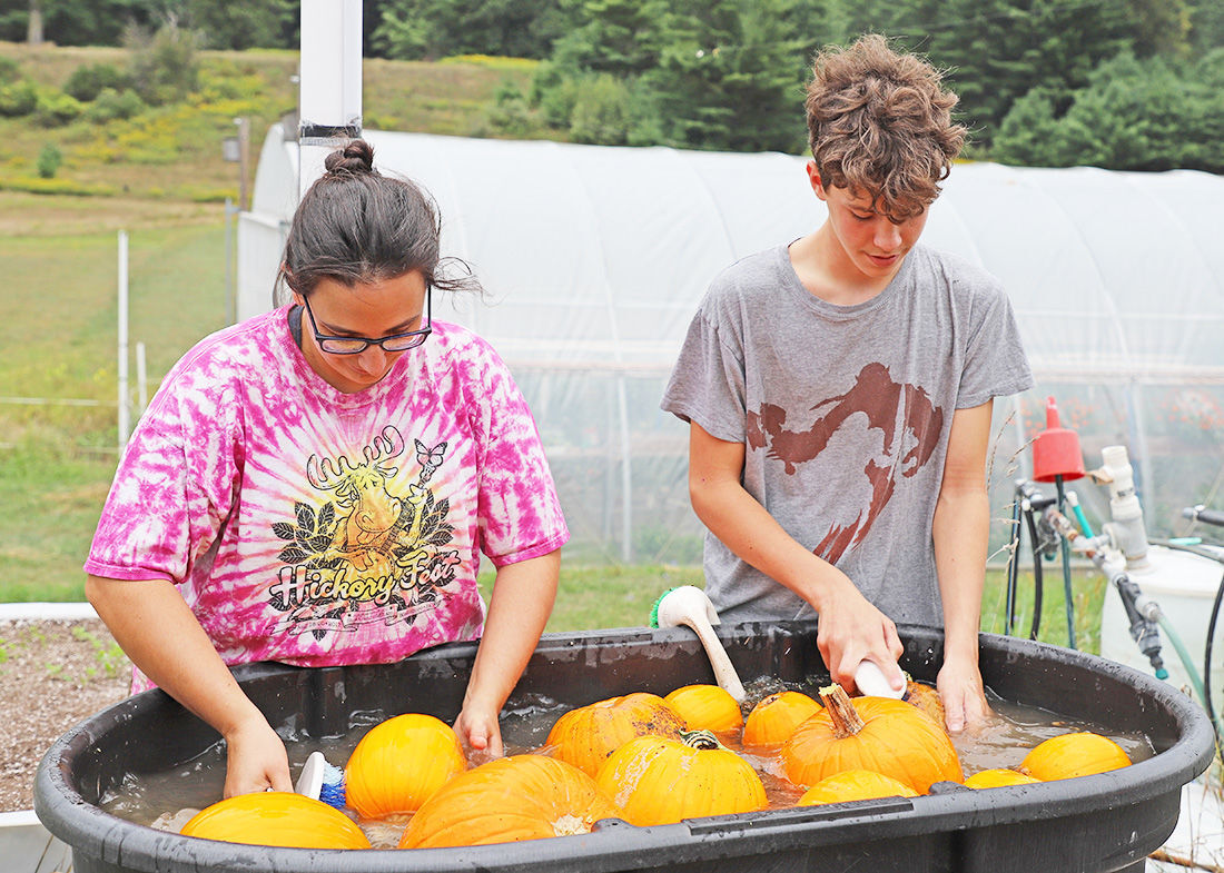 Wellsboro growers market is this Thursday, Sept. 24