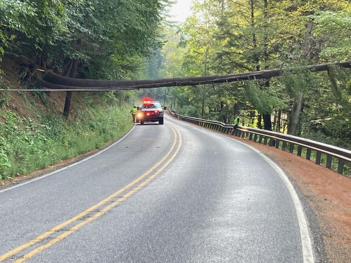 Downed pole closes Route 607 in Keating Township