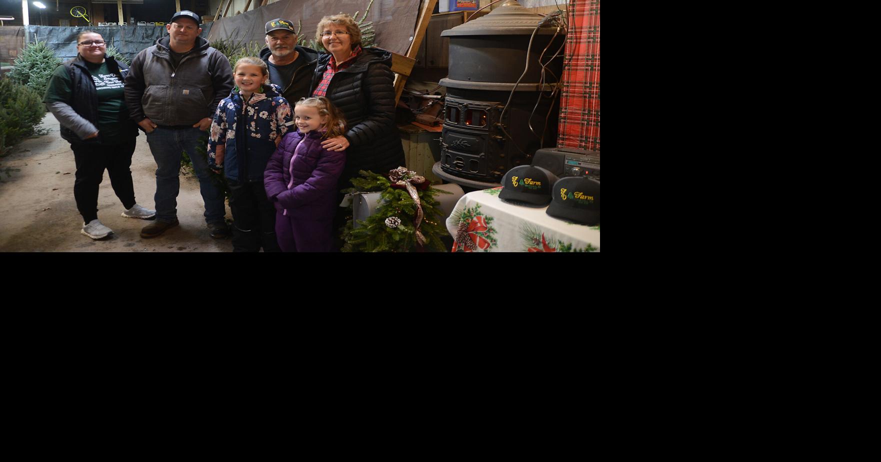 Not one idle acre; tree farm celebrates century