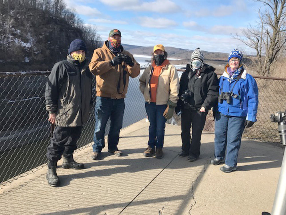Woodland owners find eagles