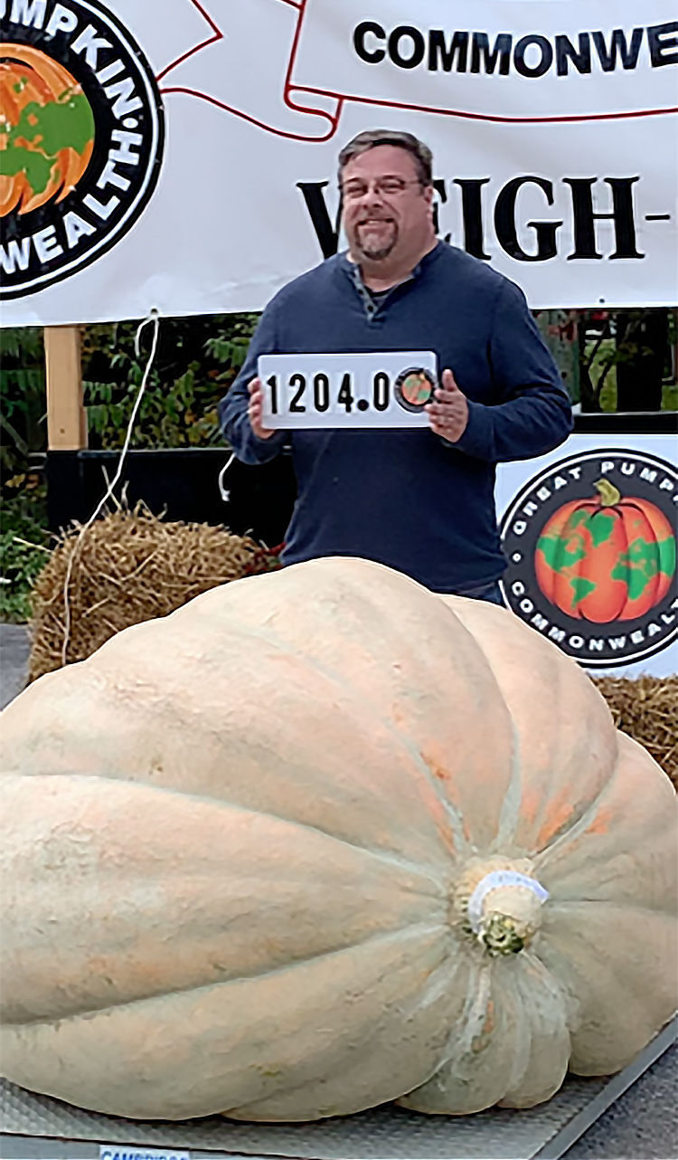 Ritter pumpkin 1