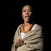 Malian singer Rokia Traore gets suspended jail in Belgian custody case