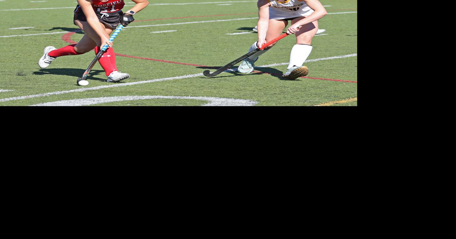 Kyleigh Hinson attacks the defense | Sports | tiogapublishing.com