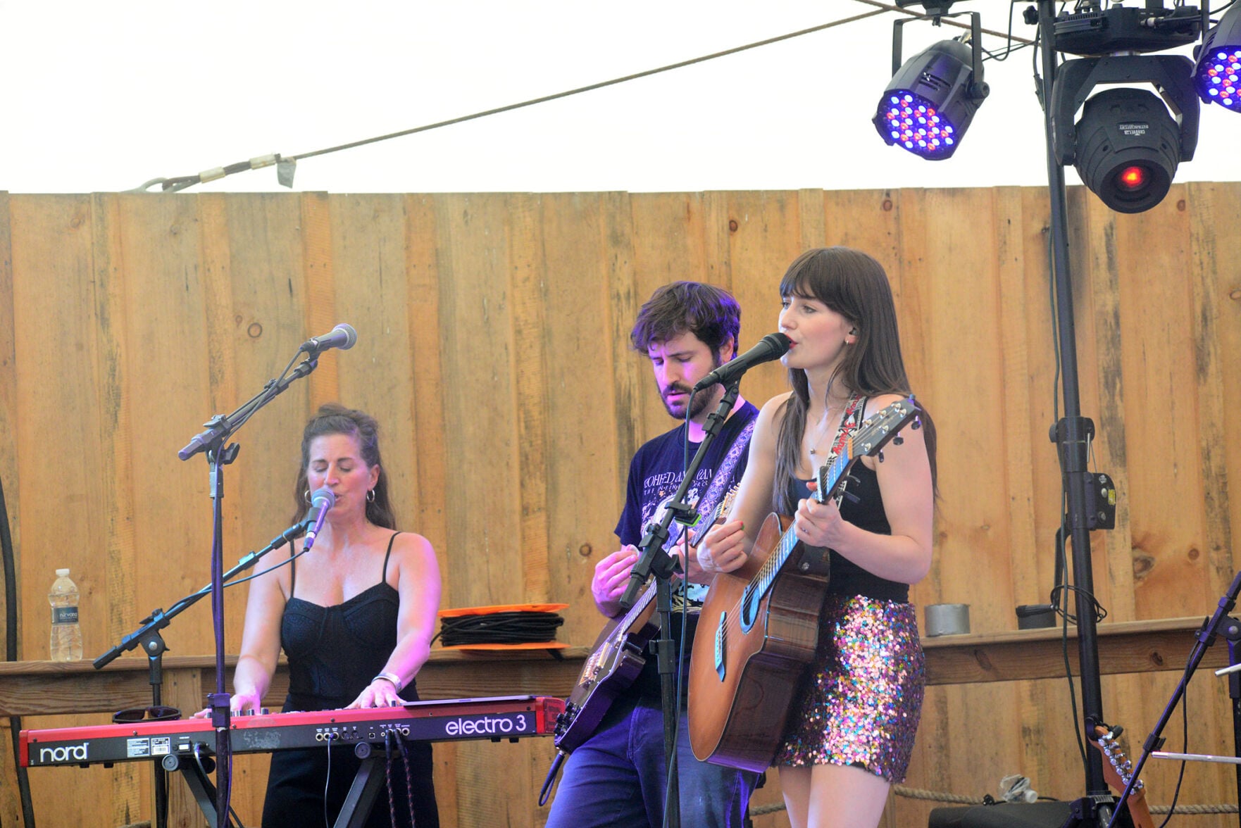Good music, good vibes at Wilderfest | Local | tiogapublishing.com