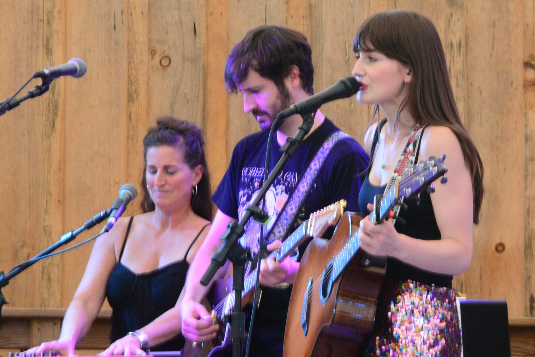 Good music, good vibes at Wilderfest | Local | tiogapublishing.com
