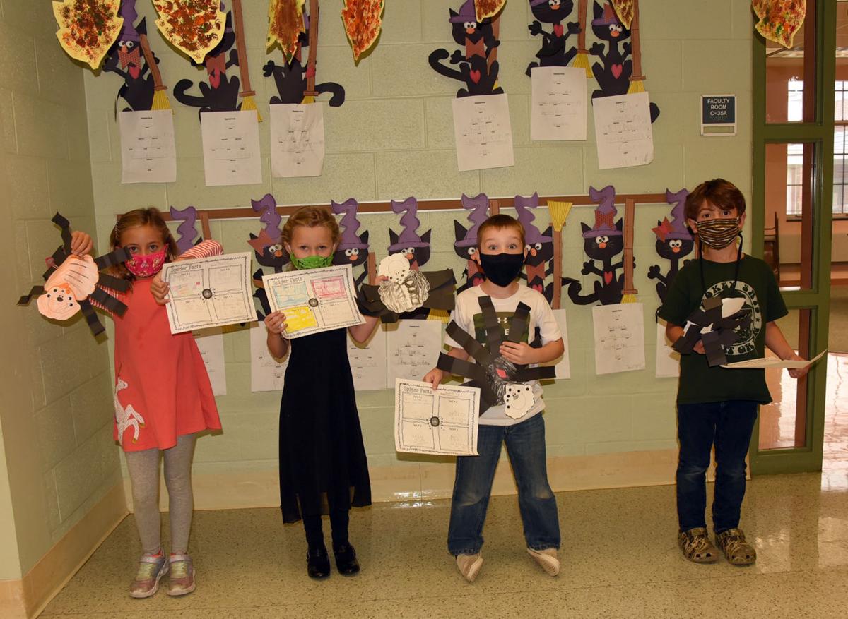 Students learn about spiders