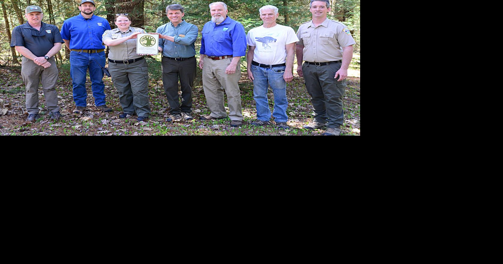 The value of forest: Colton Point State Park inducted into Old Growth ...