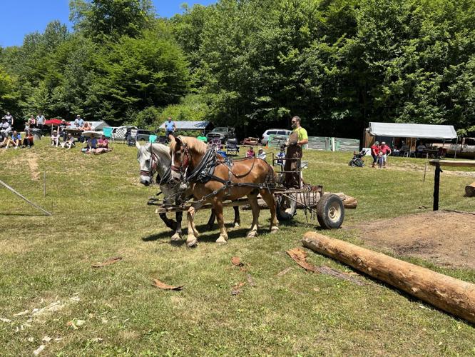 Record attendance at Bark Peelers' festival Local