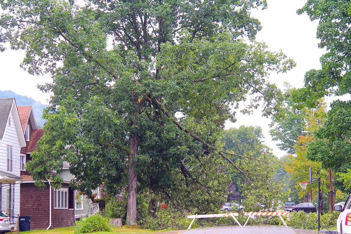 Storm causes damage in Port Allegany