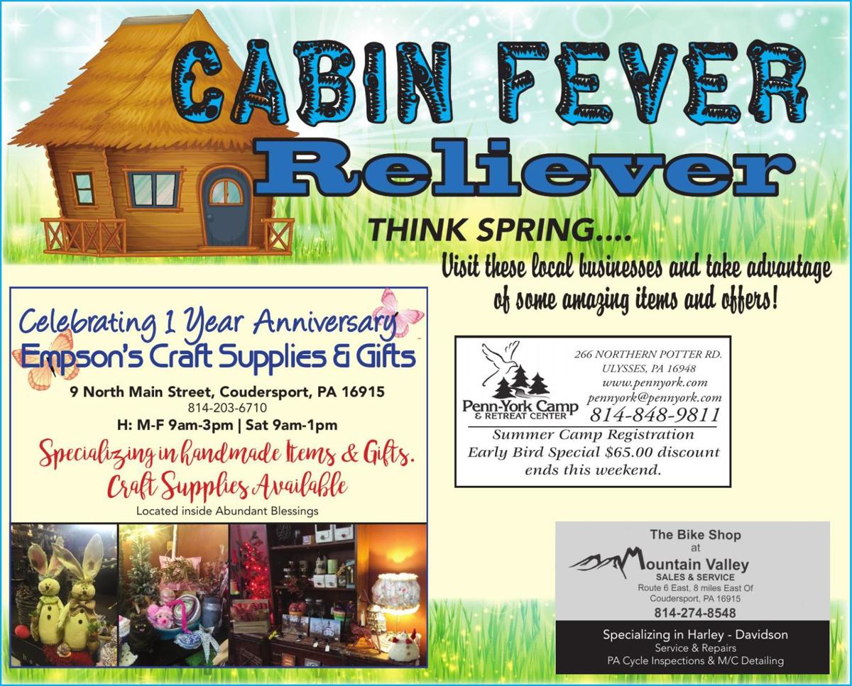 Cabin Fever Ple Z3 Pdf Potter Leader Tiogapublishing Com