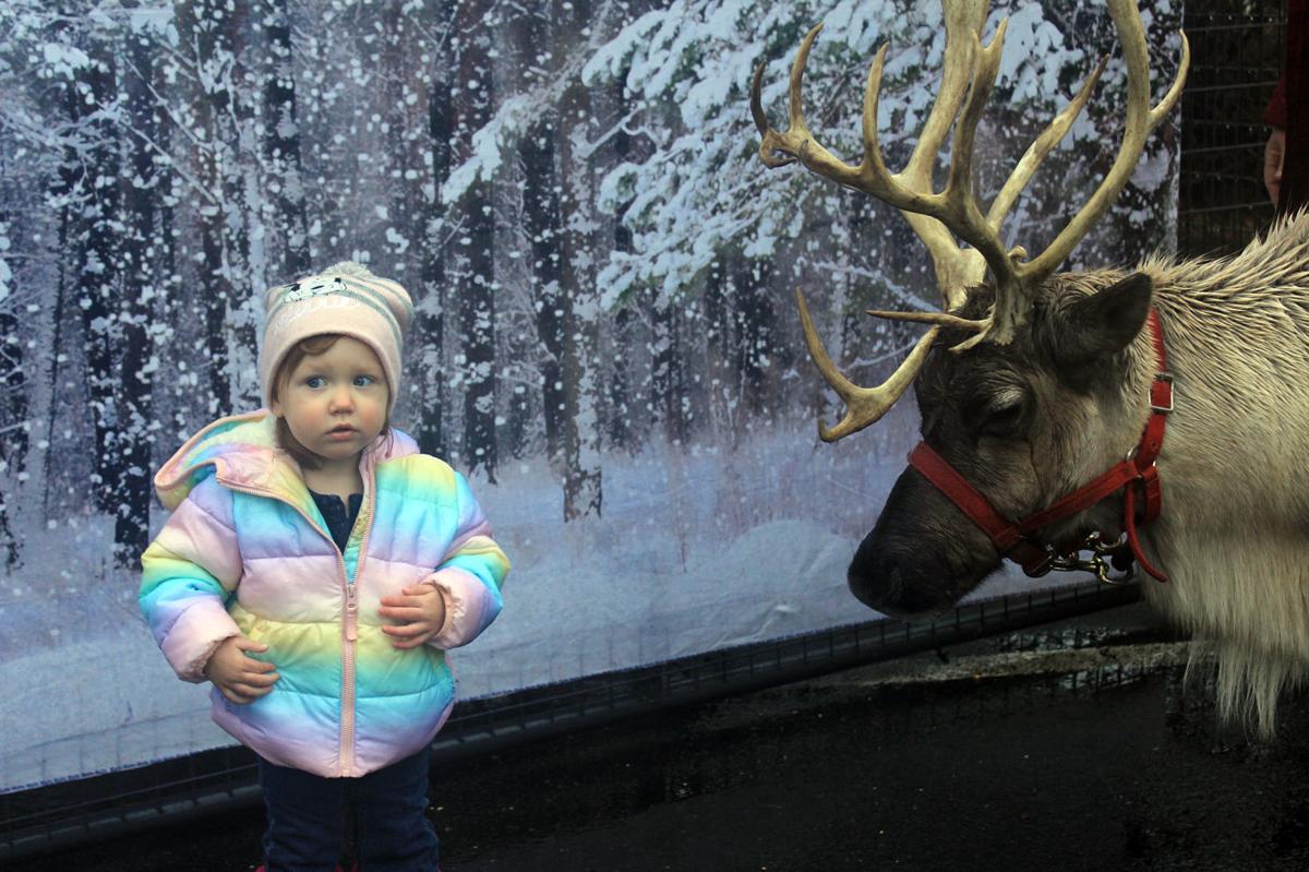 Wellsboro hosts Christmas on Main Street