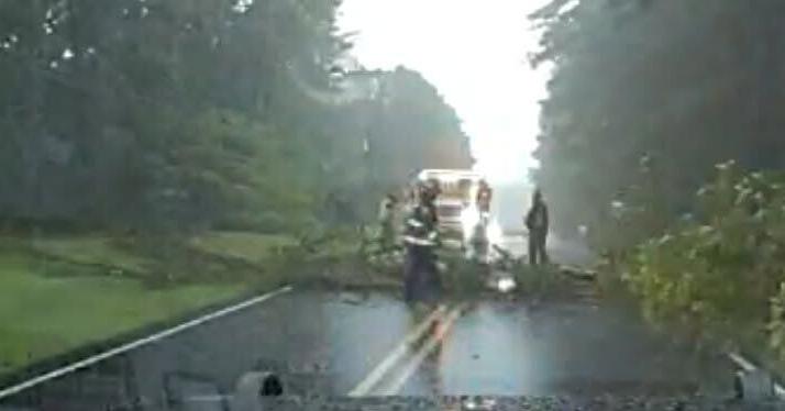 CSO: Scott Road near Canton closed due to downed tree