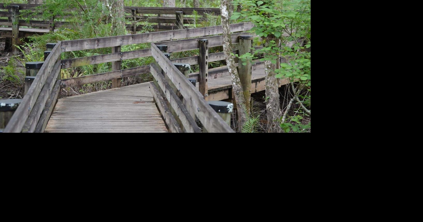 Six Mile Cypress boardwalk to close for maintenance