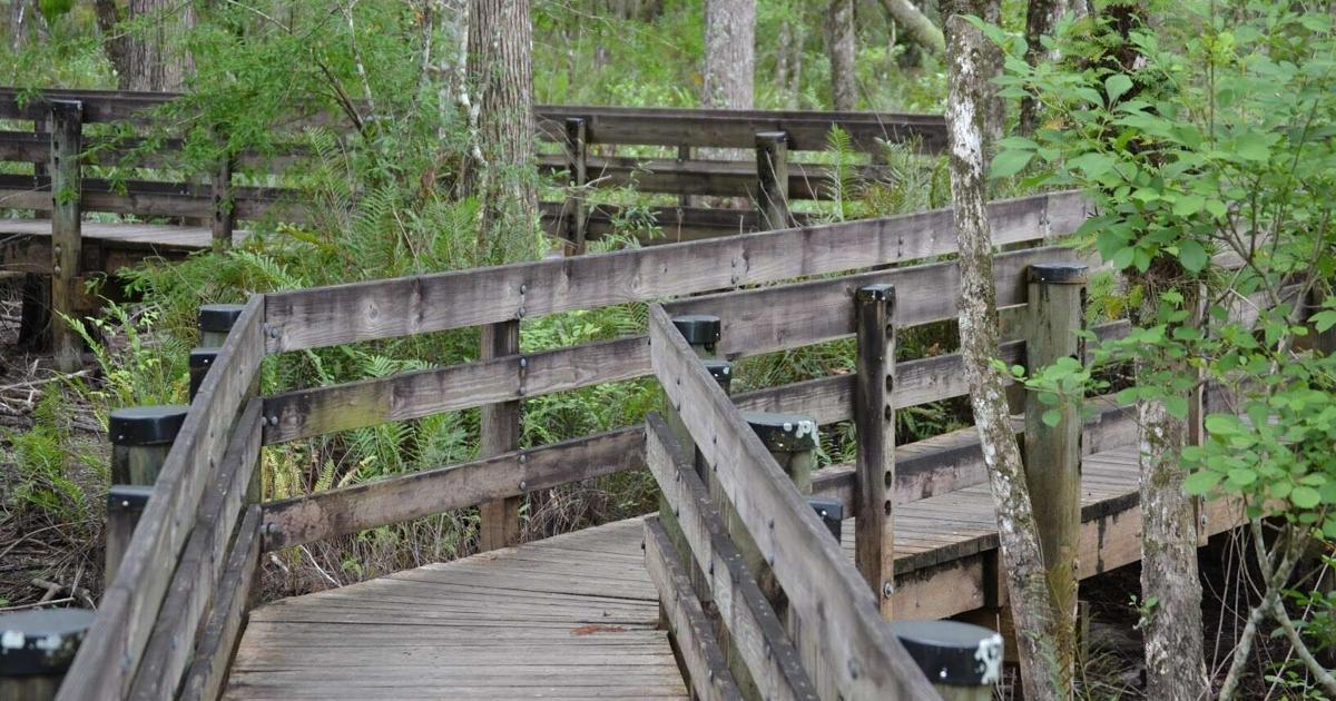 Six Mile Cypress boardwalk to close for maintenance