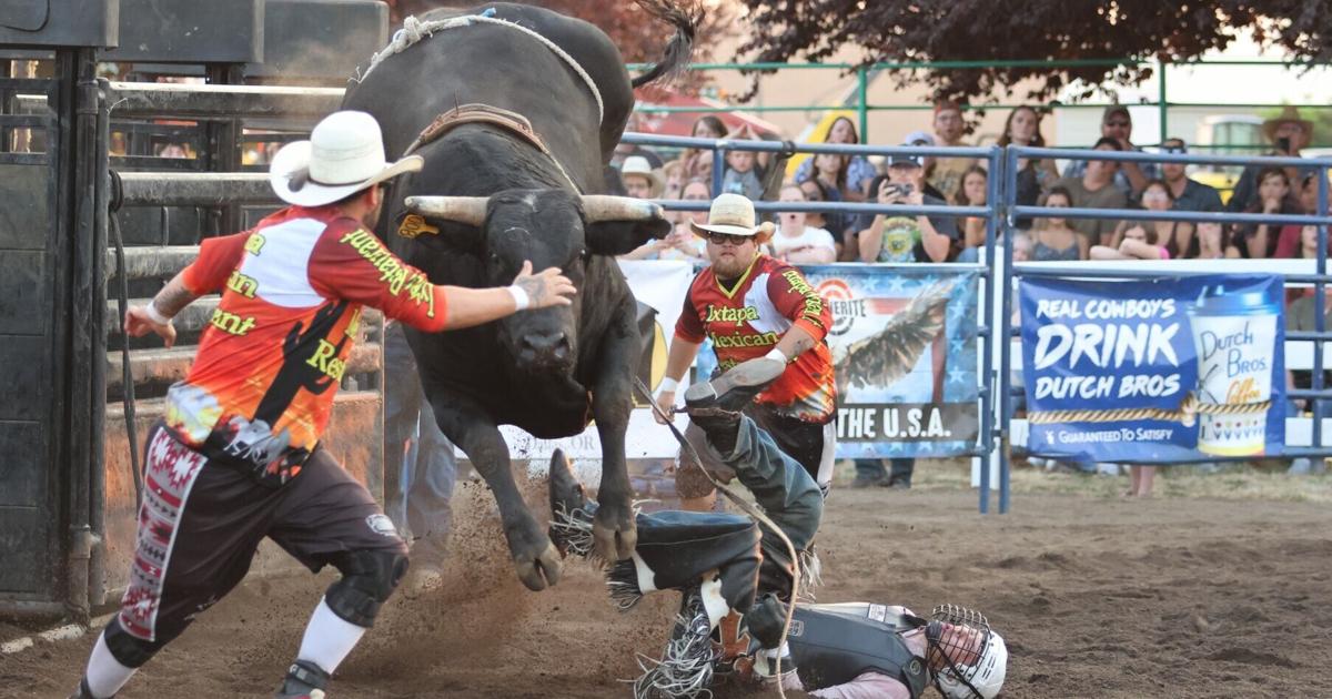 County packs a lot into its ‘Little Fair That Could'