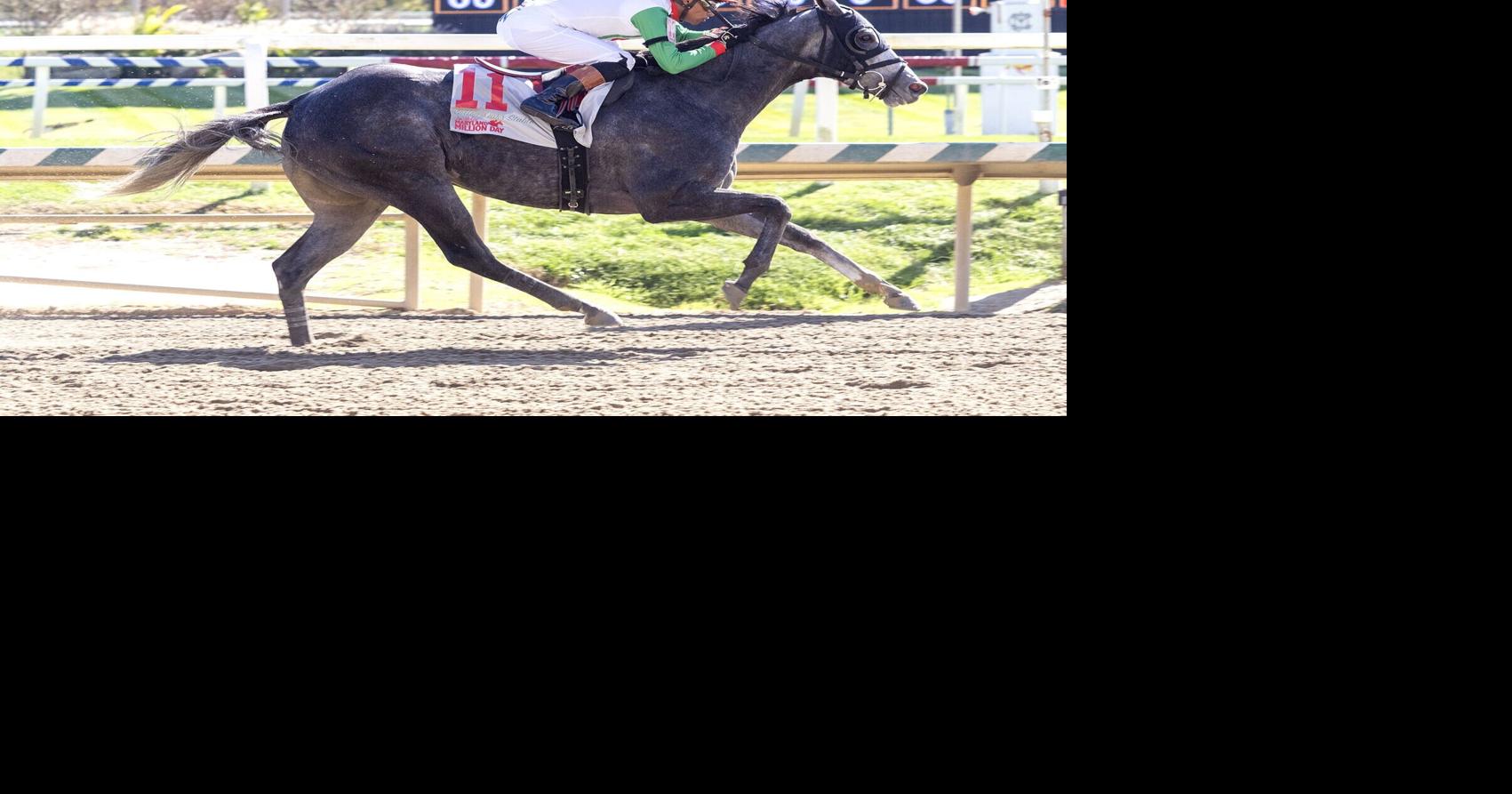 Kent County horses perform well at Laurel, Rosecroft