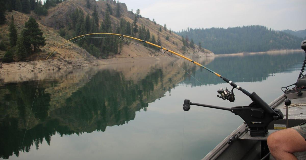 Claycomb: Fishing for kokanee can be a lot of fun