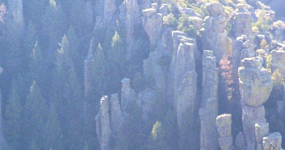 America Mints a New National Park, Elevating an Arizonan 'Sky Island'