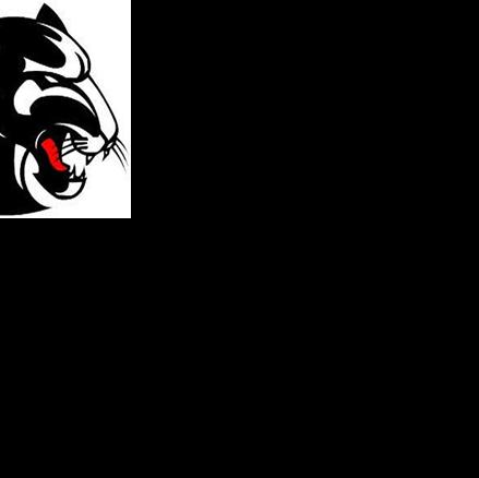 SOFTBALL: Ridgeland no-hits Southeast