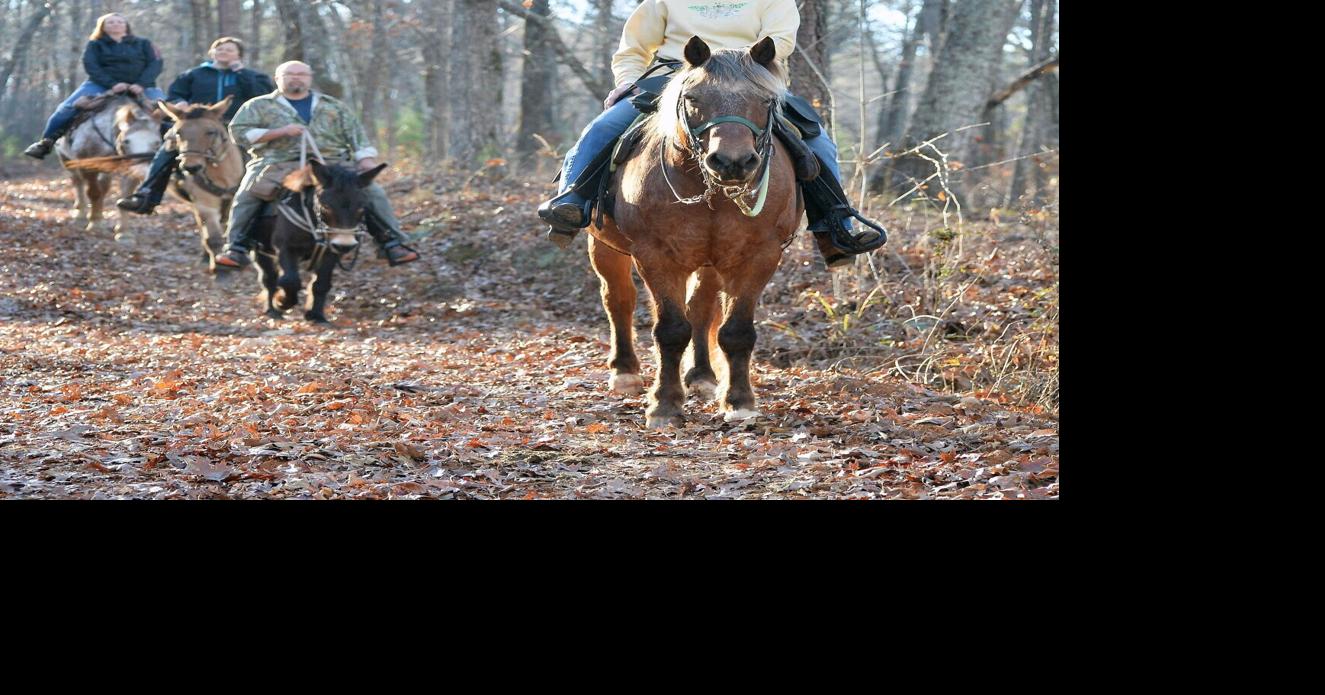 Camp McClellan Horse Trails expands infrastructure