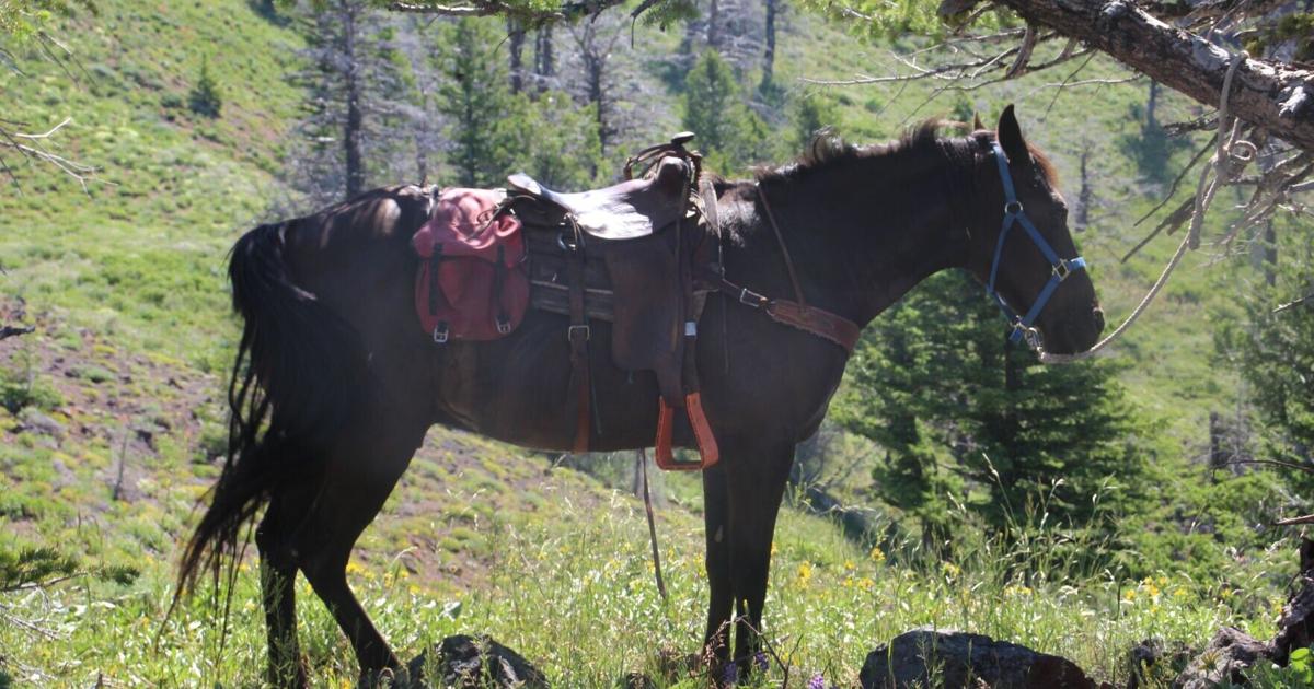 Claycomb: Nothing like riding a horse in the mountains