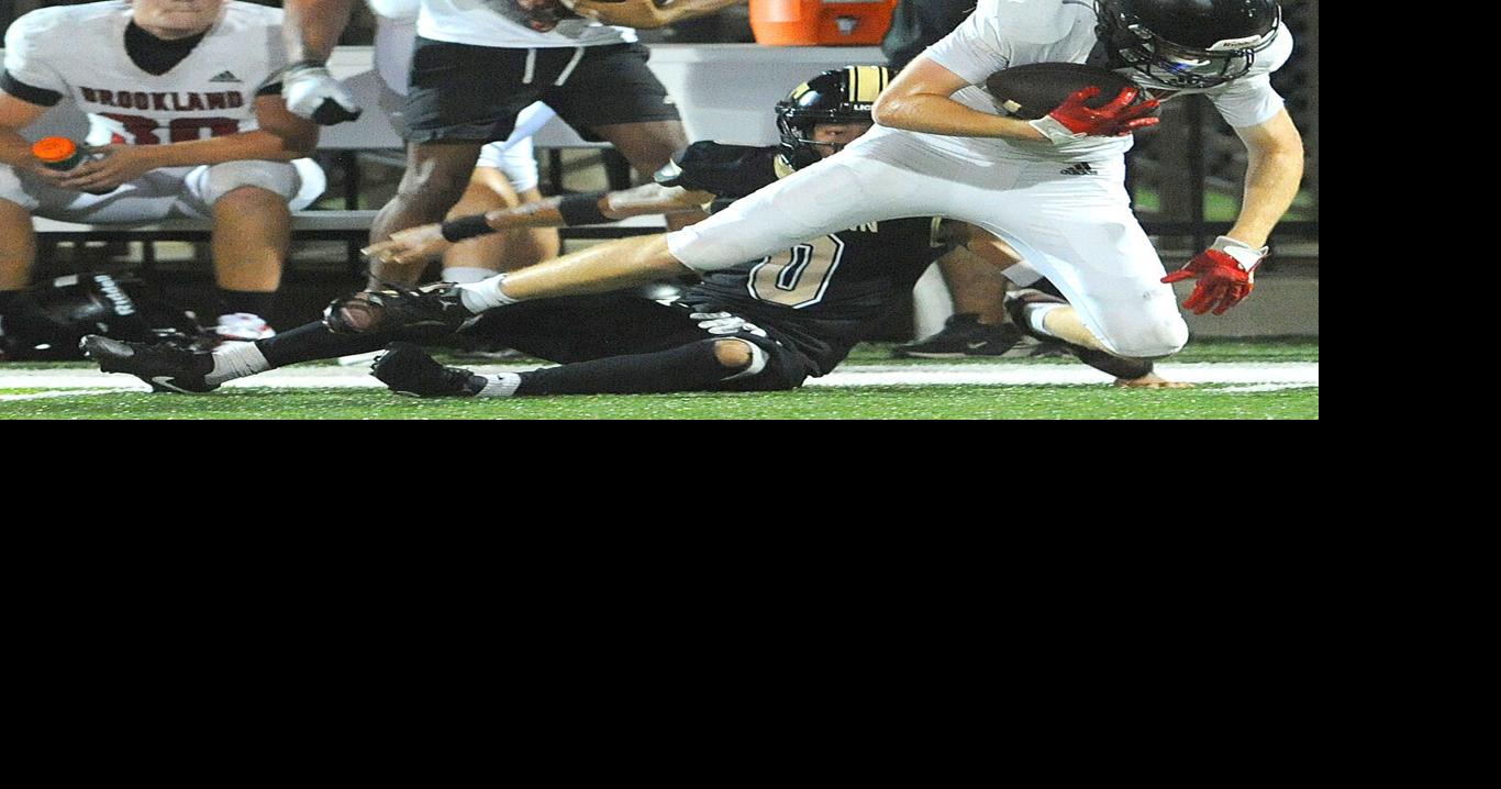 Bearcats prevail in benefit football contest
