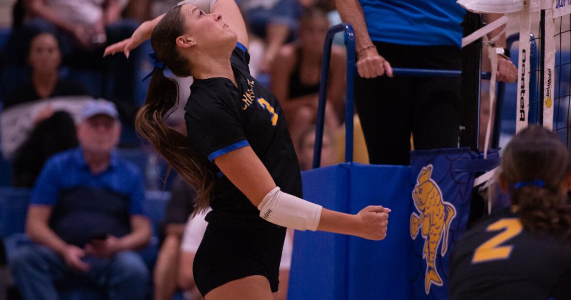 PREP VOLLEYBALL: Venice, Charlotte play for regional titles tonight