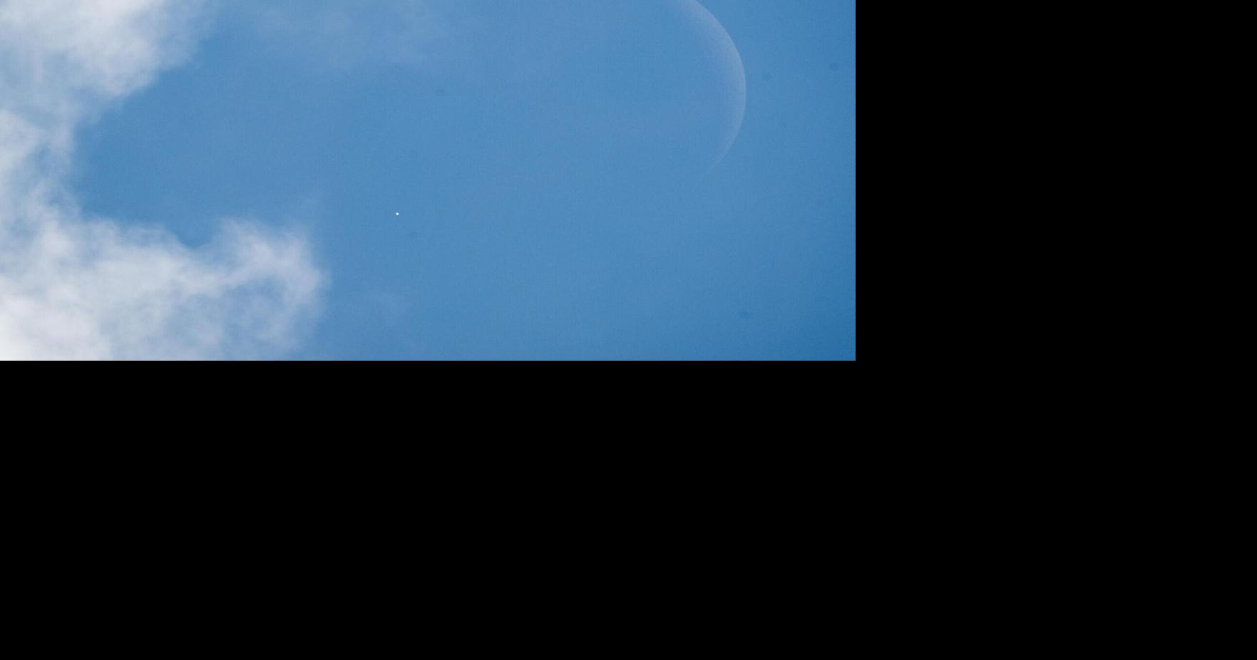 Starry Starry Night: Night sky has planets, dolphin this week