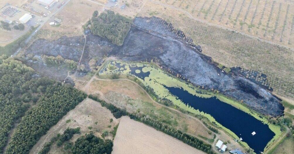 Wildfire causes ‘significant loss' to Xmas tree farm