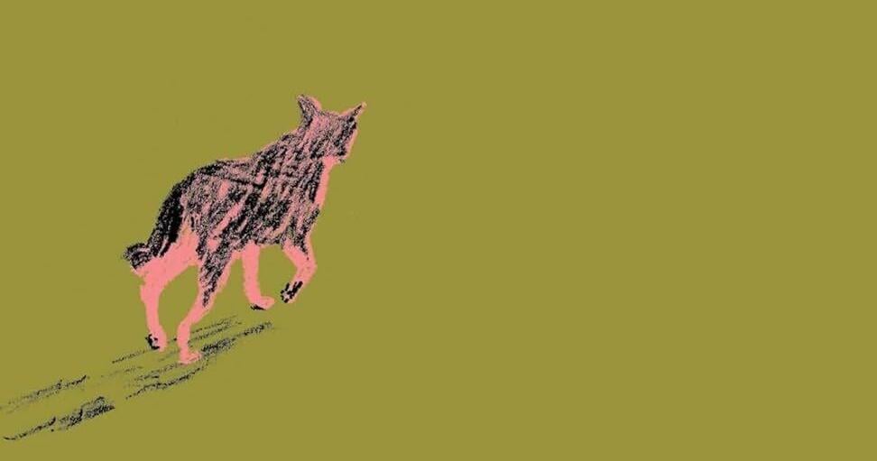 Moving tale of a lone dog's post-war odyssey home