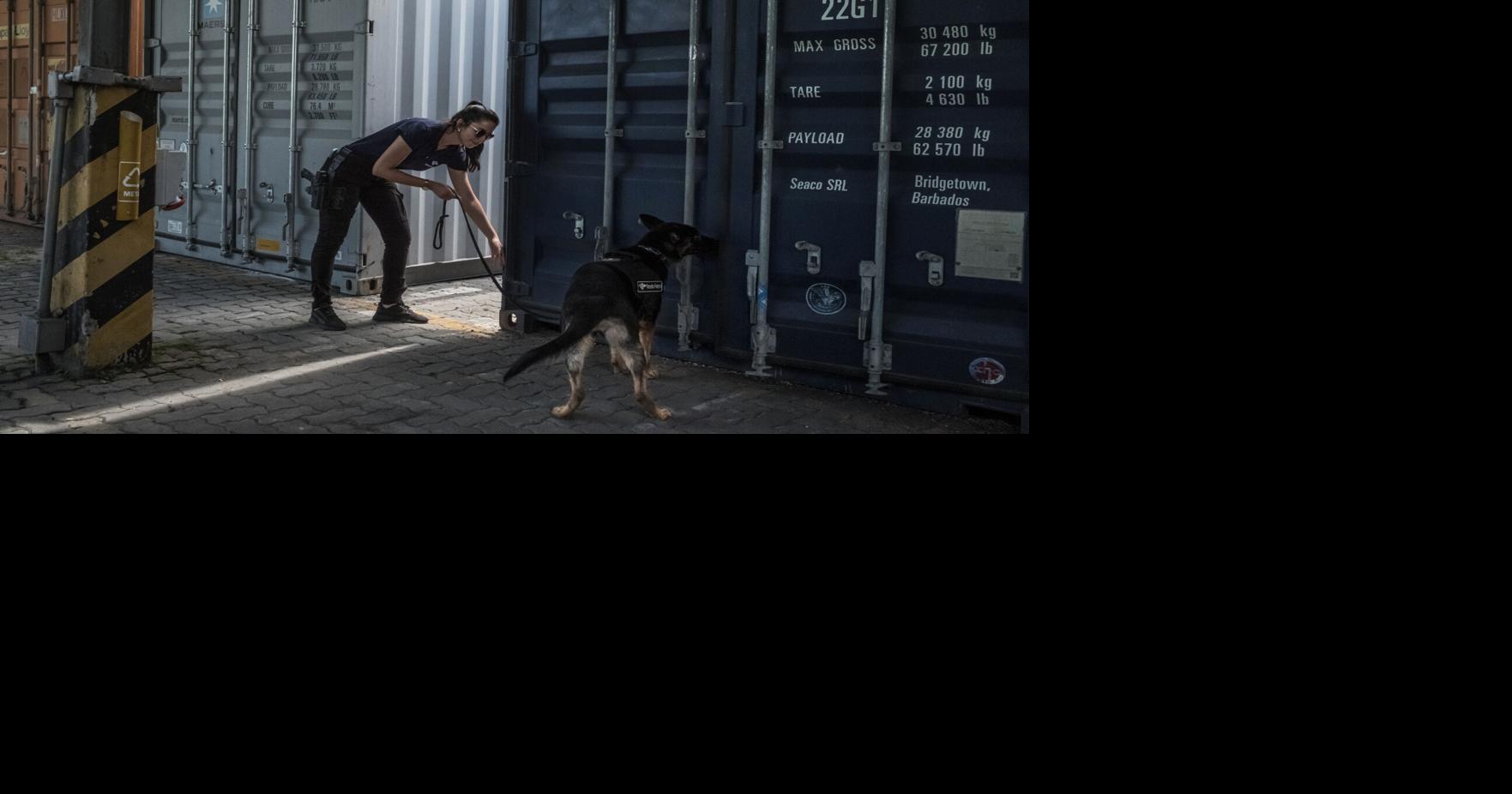 U.S. and Brazil Partnered in Fighting Crime. A Diplomatic Spat Threatens That.