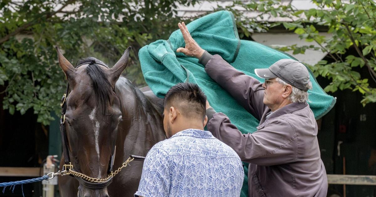 Sovereignty gets back to work for Jockey Club Gold Cup