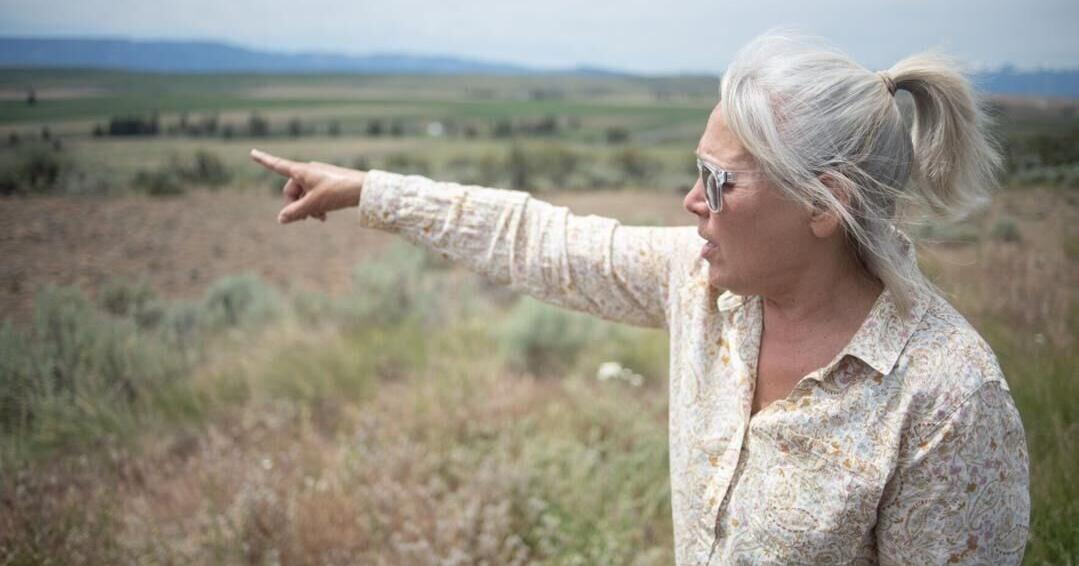 ‘Stunned with relief': Colville Tribes, Badger Mountain resident react to solar farm withdrawal