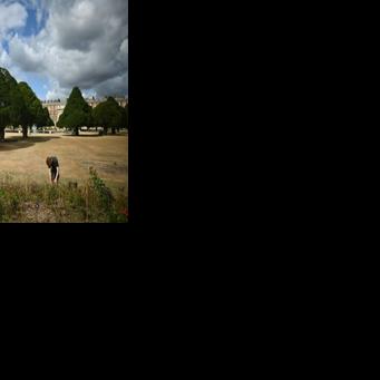 Trees 'giving up': climate change hammers historic English gardens