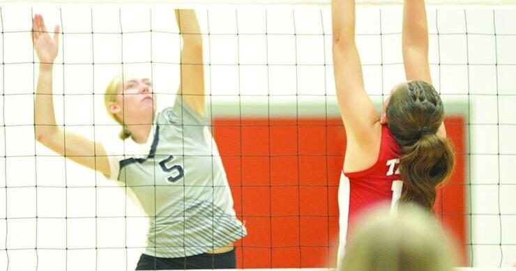Hale volleyball rallies from two set hole, tames Tawas Area